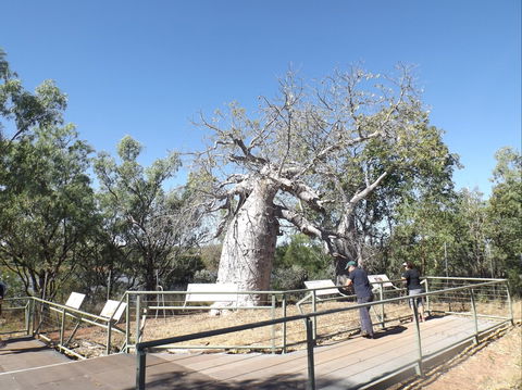 Gregory's Tree, Timber Creek - eAccommodation 0