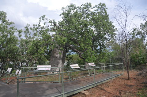 Gregory's Tree, Timber Creek - eAccommodation 1