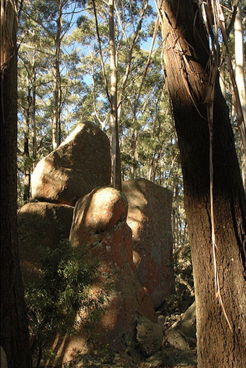 Gulaga National Park - eAccommodation 0