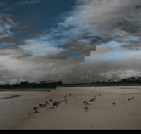 Hardwicke Bay - eAccommodation
