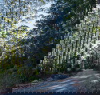 Hastings Forest Way Touring Route - eAccommodation