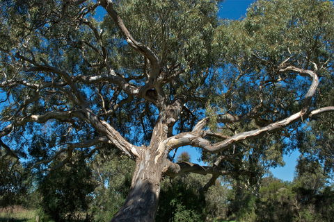 Holey Plains State Park - eAccommodation 0