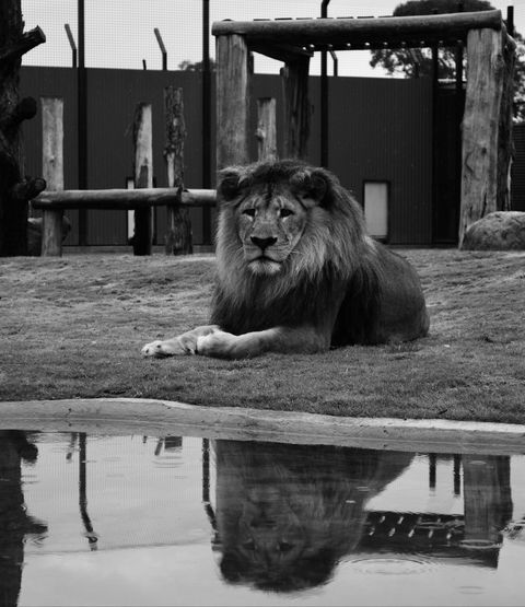 Hunter Valley Zoo - eAccommodation 0
