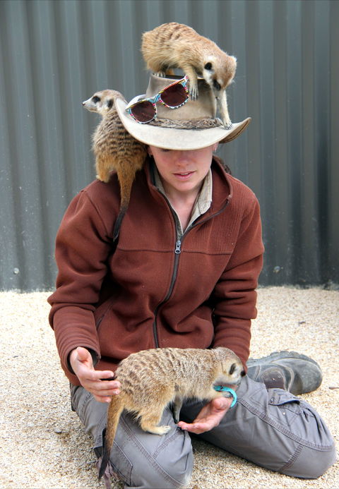 Hunter Valley Zoo - eAccommodation 2