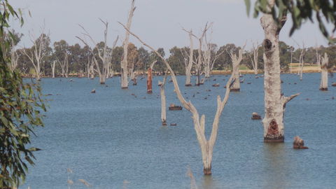 Lake Mulwala - eAccommodation 2