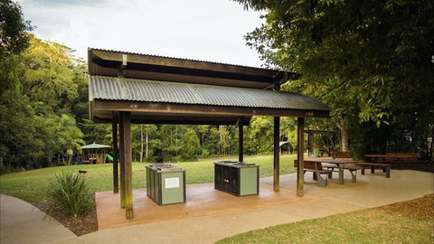 Mary Cairncross Scenic Reserve Rainforest Walk - eAccommodation 2