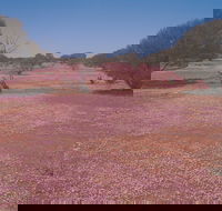 Meekatharra - eAccommodation