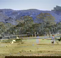 Megalong Valley - eAccommodation