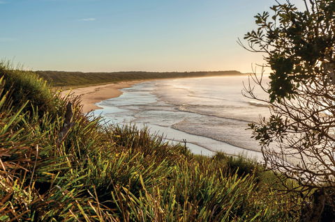 Murramarang National Park - eAccommodation 0