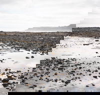 Mushroom Reef Beach - eAccommodation
