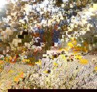 Nail Can Hill - eAccommodation