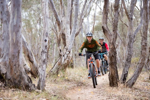 Nail Can Hill - eAccommodation 1