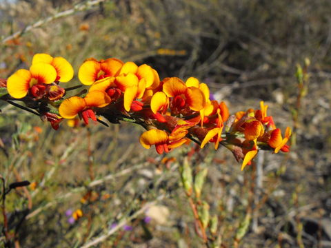 Nail Can Hill - eAccommodation 2