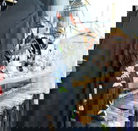 Oh JoJo Boutique - eAccommodation