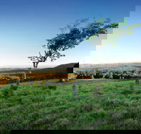 Ravensbourne National Park - eAccommodation