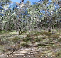 Reef Hills State Park - eAccommodation