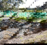 Tactical Paintball Games - eAccommodation