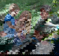 Tamworth Marsupial Park and Adventure Playground - eAccommodation