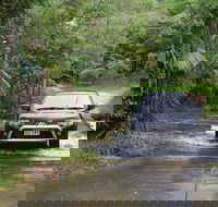 The Pioneer Valley and Eungella National Park - eAccommodation