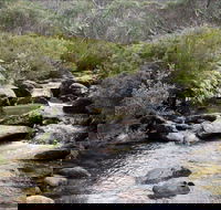 Thredbo River Track - eAccommodation