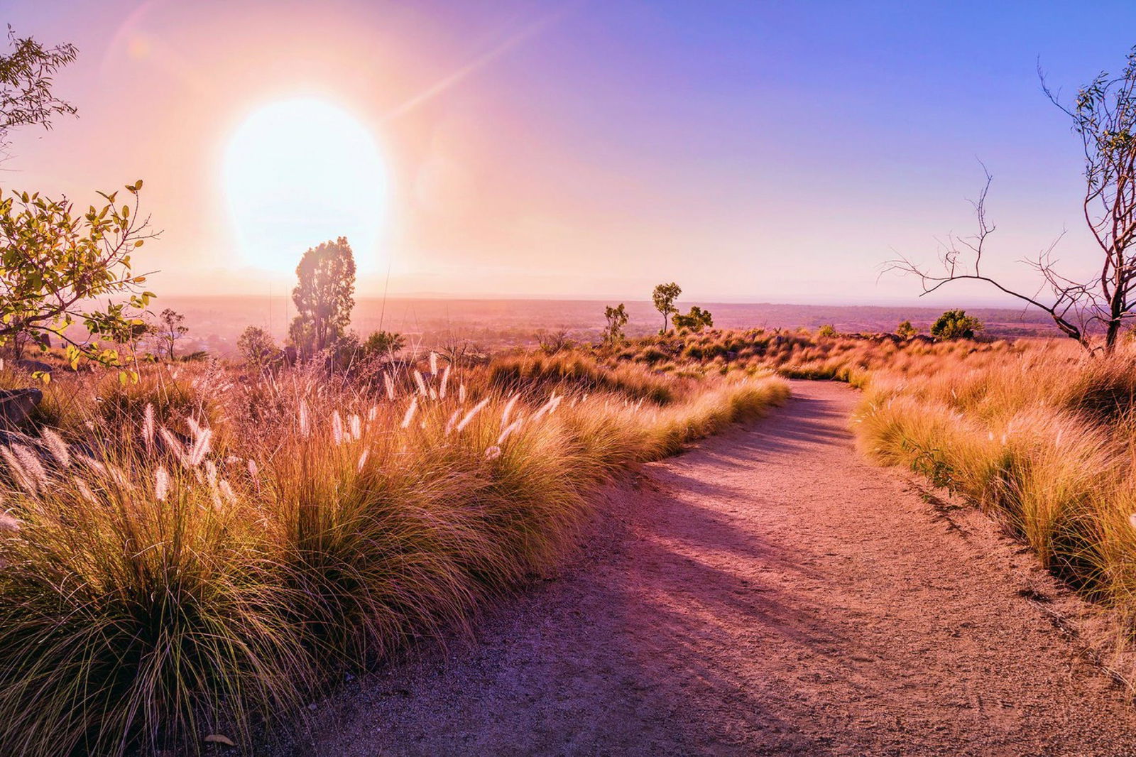 Wulguru QLD eAccommodation