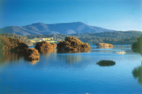 Wagonga Picnic Area - eAccommodation 0