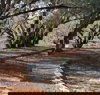 Warrego Floodplain walking track