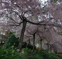 Wildwood Garden - eAccommodation