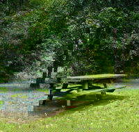 Williams River picnic area - eAccommodation