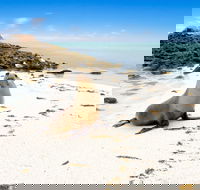 Abrolhos Islands - eAccommodation