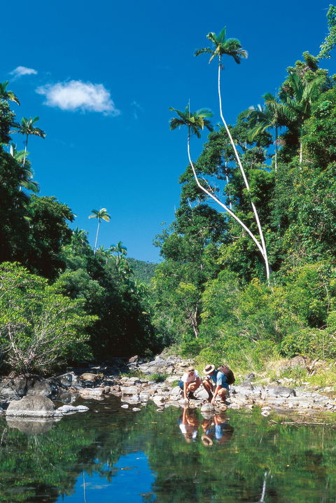 Airlie Beach To Cedar Creek Falls - eAccommodation 1