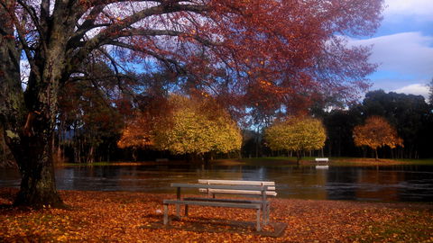 Bells Parade Reserve - eAccommodation 0