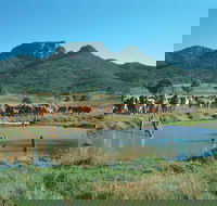 Biggenden - eAccommodation