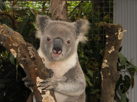 Birdland Animal Park - eAccommodation 0