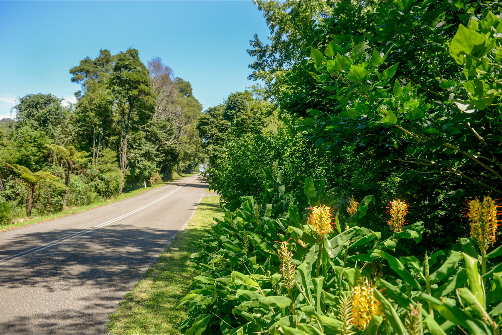 Broughton Vale NSW eAccommodation