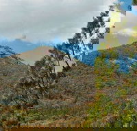 Burrowa-Pine Mountain National Park - eAccommodation
