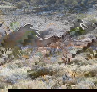 Canning Stock Route - eAccommodation