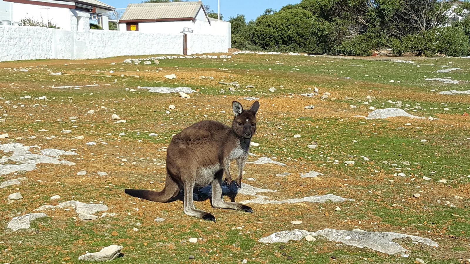 Hanson Bay SA eAccommodation