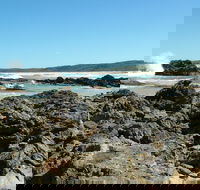 Coastal Walks - Bermagui - eAccommodation