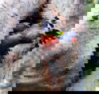 Cumberland State Forest - eAccommodation