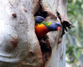 Cumberland State Forest - eAccommodation 0