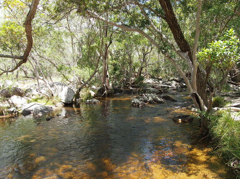 Emerald Creek, Dinden West Forest Reserve - eAccommodation 1