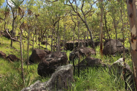 Emerald Creek, Dinden West Forest Reserve - eAccommodation 2