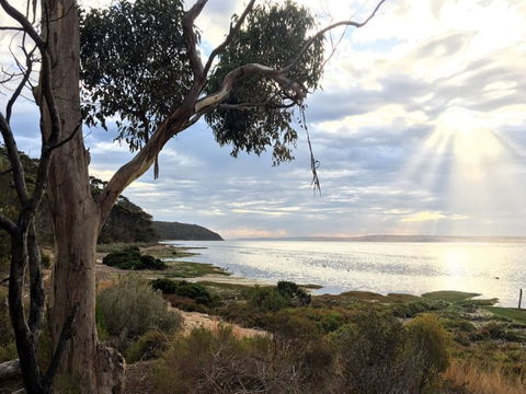 Fish Cannery Walking Trail - eAccommodation 0