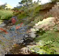 Gold Panning Deep Creek - eAccommodation