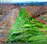 Hall Family Orchards - eAccommodation