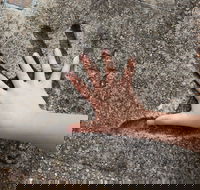 Hands of Fame Park - eAccommodation