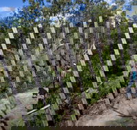 Herring Island Environmental Sculpture Park - eAccommodation