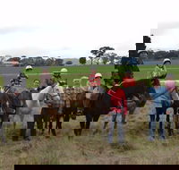 High Country Trail Rides - eAccommodation