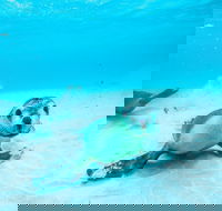 Jurien Bay - eAccommodation
